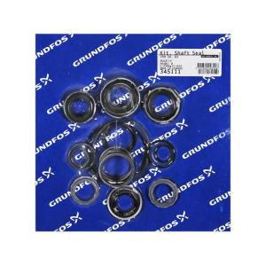 Grundfos CRN30 & CRN60 shaft seal and gasket kit AUUE/V 345111