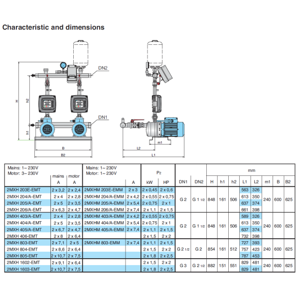 Calpeda Easymat 2MXH1602-EMT-24 twin pump set 230v U83003100000 - Image 2