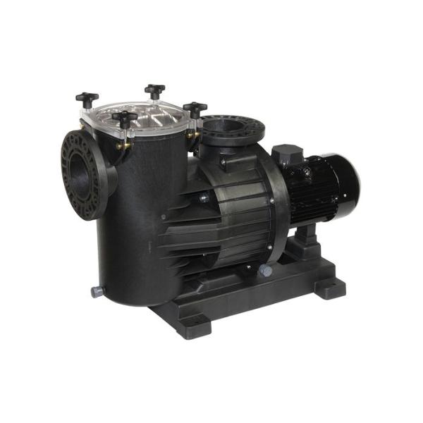 DAB EUROPRO 1000 T-IE3 High Flow Swimming Pool Pump 415V 60169145