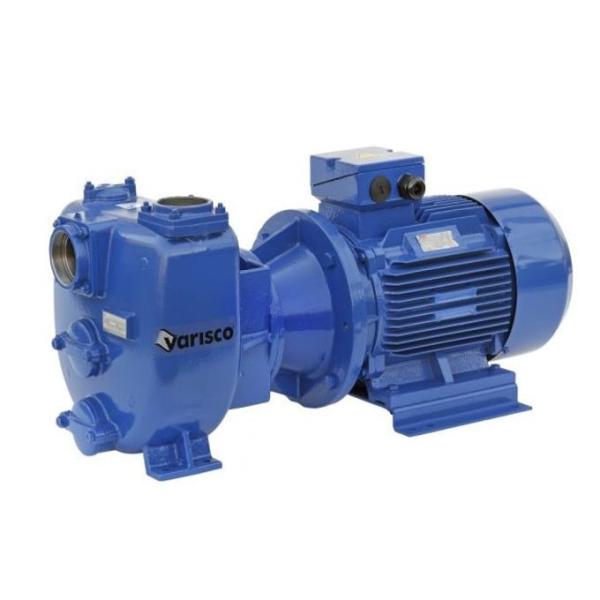 Varisco JE 3-180 G10 NT20 Self-Priming Pump 7.5kw 400v 8381063267