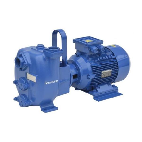 Varisco JE 1-180 G10 NT20 Self-Priming Pump 4.0kw 400v 10042924