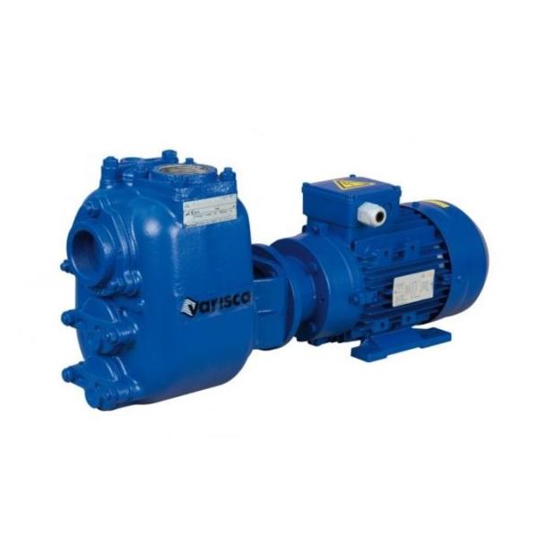 Varisco JE 2-170 G10 NT20 Self-Priming Pump 4kw 400v 8381063545