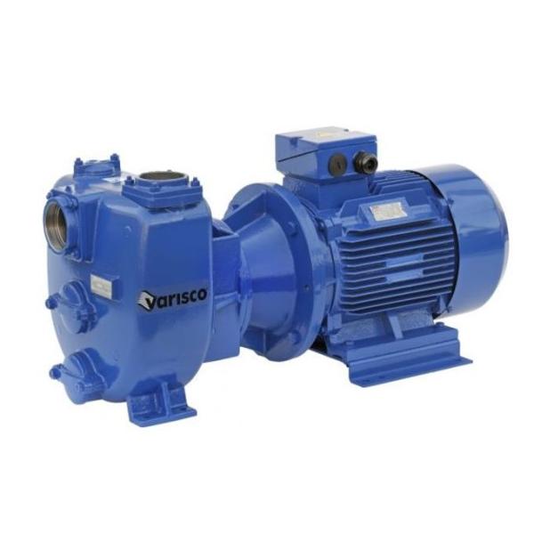 Varisco JE 3-140 G10 NT20 Self-Priming Pump 4.0kw 400v 8381063547