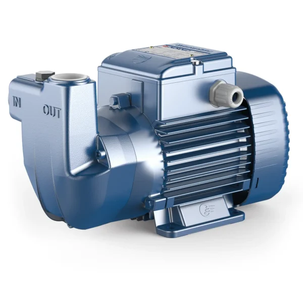 Pedrollo CKR 100 Three Phase 2113860